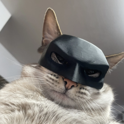 Вирална маска за мачка Бетмен DeGalic