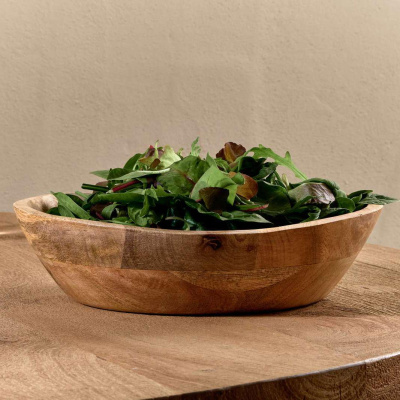 Сад за салата од манго EH A55600250  29X29X6CM